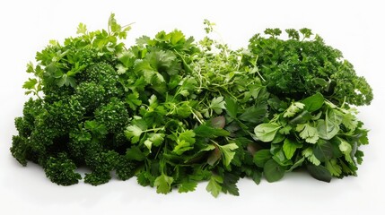 Obraz premium Fresh Parsley and Herbs Border Isolated White Background