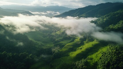 Drone view of Thai rice terraces in a mountainous region, highlighting green landscapes.