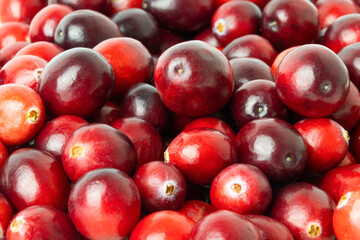 Red cranberries, close-up. Berry background.