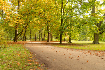 Path in autumn park. Beautiful landscape.