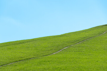 Path on green hill and blue sky.
