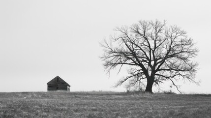 Solitary Tree and Abandoned House