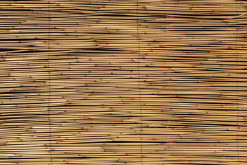 Granular material, solid wood with a structural surface for design textures. Grunge panel with rough coating