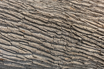 Granular material, solid wood with a structural surface for design textures. Grunge panel with rough coating