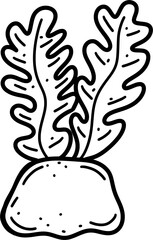 coral