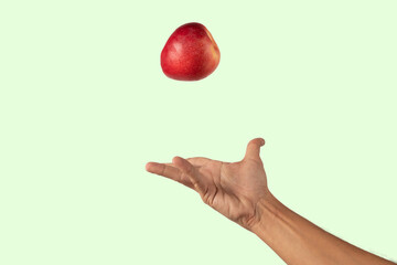 Male hand tossing a red apple in the air isolated on light green background
