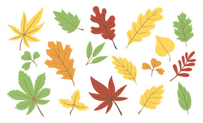 A collection of autumn leaves in various colors, including red, yellow