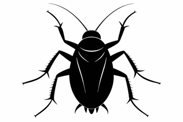 Colorful Silhouette Vector of African Cockroaches on White Background