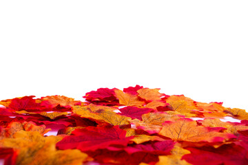 Autumn red, orange and yellow leaves. Artificial leaves on white and black background. Autumn mood.