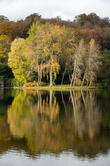 Autumn reflections with trees. Stourhead