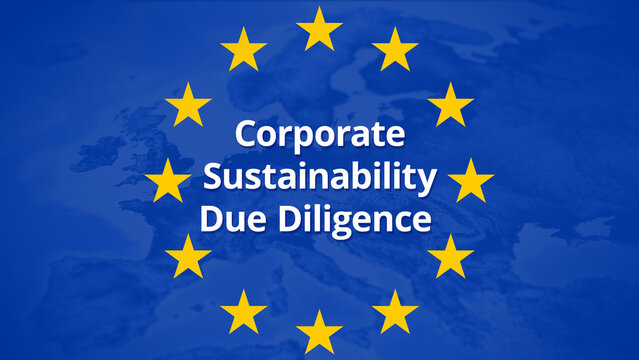 Corporate Sustainability Due Diligence (CSDDD)