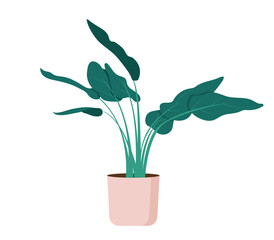 Cute Plant Pot Flat Vector Illustration.