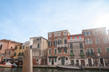 Charming buildings line the quiet square in Venice, Italy, showcasing vibrant facades and intricate architecture under a clear sky in the afternoon light