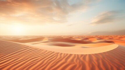 Sunset in the desert