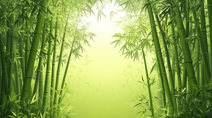 Fototapeta premium A lush green forest with a path through it