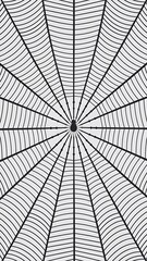 Obraz premium Seamless spider web. Connected black lines on white background