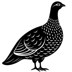 Dusky Grouse silhouette on a white background