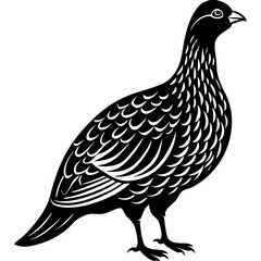 Dusky Grouse silhouette on a white background