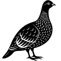 Dusky Grouse silhouette on a white background