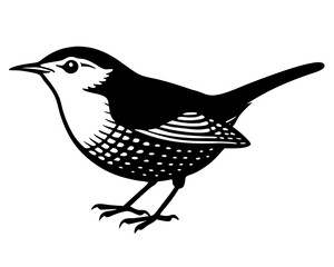 Eurasian Wren Silhouette vector illustration on a white background