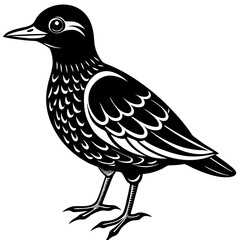 oilbird vector silhouette on a white background