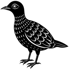 oilbird vector silhouette on a white background