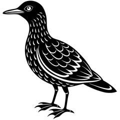 oilbird vector silhouette on a white background