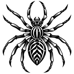 Spider Silhouette vector illustration on a white background