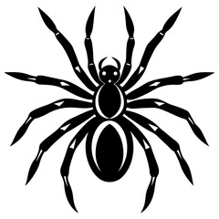 Spider Silhouette vector illustration on a white background
