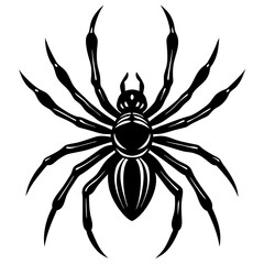 Spider Silhouette vector illustration on a white background