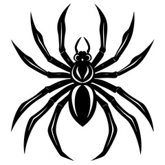 Spider Silhouette vector illustration on a white background