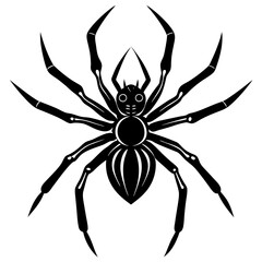 Spider Silhouette vector illustration on a white background