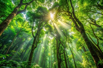 Fototapeta premium Dense foliage and towering trees create a lush forest atmosphere with dappled sunlight filtering through the canopy above, scenery, landscape, outdoors, leaves, natural world