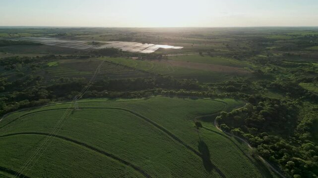 panoramic aerial view of a soybean plantation field with solar panels field in the background, during sunset time - Countryside of Sao Paulo - Dracena, Brazil