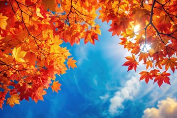 Fall foliage with vibrant orange and red leaves against a soft blue sky, autumn, trees