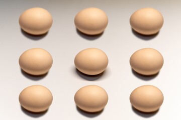 Chicken eggs are a source of healthy protein and fat for a healthy diet