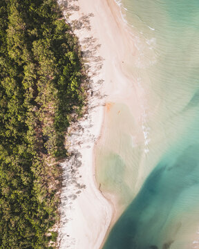 Aerial view of beautiful Noah Creek surrounded by lush Daintree Rainforest and serene beach, Cape Tribulation, Australia.