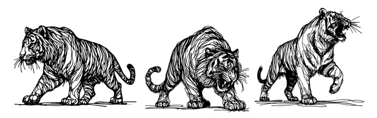 expressive sketch of tiger in action, drawn in monoline style, black vector