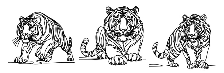 tiger moving in elegant monoline sketch, black vector with expressive lines