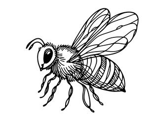 detailed line art illustration of a bee in minimalist monoline style, perfect for nature-inspired designs black vector