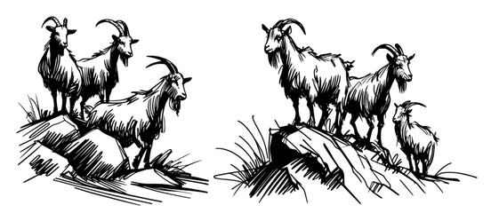 Obraz premium group of mountain goats on rocky landscape, black vector sketch