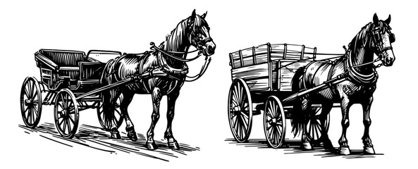 Vintage Horse-Drawn Carriage Illustration © Luka