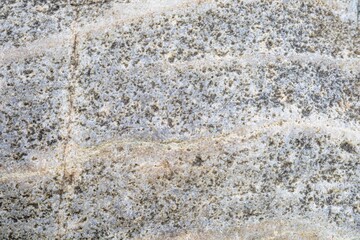 Natural texture in nature with organic stone surface and patterned texture.