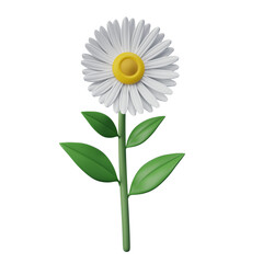 Isolated daisy flower with white petals and yellow center, blooming in spring, 3d rendering