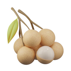 Longan fruit, Fresh organic fruit , perfect fruit for a healthy breakfast, 3d rendering