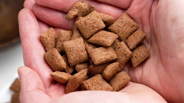 Hands holding a handful of crispy chocolate-flavored cereal bites with brown texture and ready-to-eat for a tasty and convenient snack