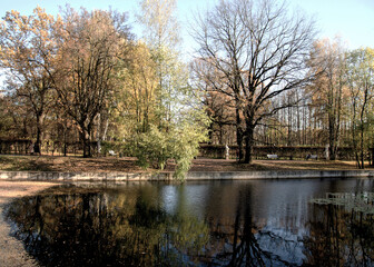 
Corner of autumn park. In the foreground is the black water of a pond, in which the trees are reflected. The trees are covered with green, yellow foliage, the tree in the center stands without leaves
