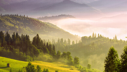 foggy autumn scenery in mountains, autumn morning dawn, nature colorful background, Carpathians mountains, Ukraine, Europe © Rushvol
