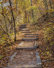 Obraz premium Forest Footpath