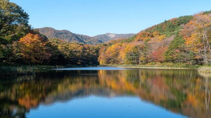 Fototapeta premium A still lake reflecting the vibrant autumn foliage of the surrounding forest.
